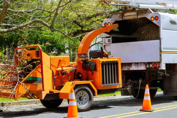 Best Tree Risk Assessment  in Johnson Creek, WI